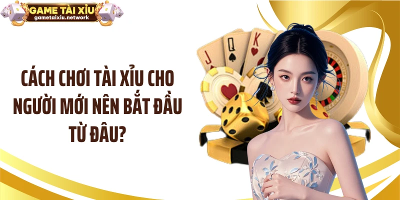 Cách chơi tài xỉu cho người mới nên bắt đầu từ đâu?