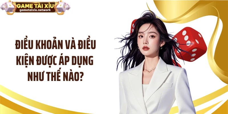 Điều khoản và điều kiện được áp dụng như thế nào?